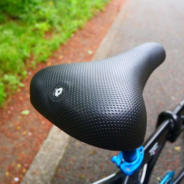 Xe đạp gấp Renault LIGHT10 - 10.8kg