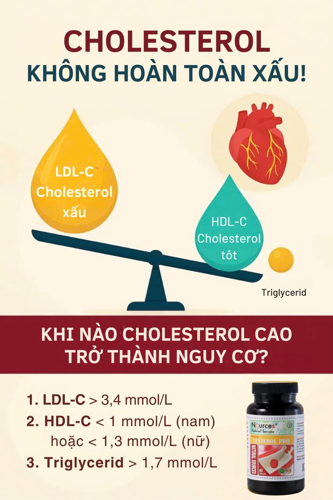 Cholesterol – không hoàn toàn xấu, nhưng khi nào thì thành nguy hiểm?