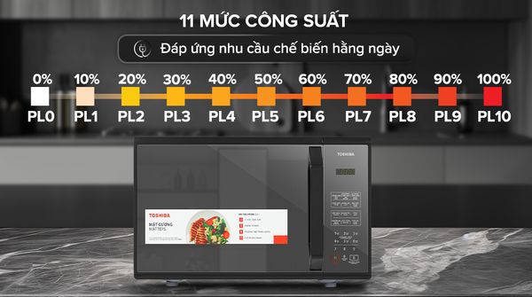 lo-vi-song-toshiba-mm-em25pe-bm