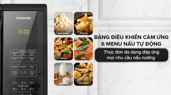 lo-vi-song-toshiba-mm-em25pe-bm