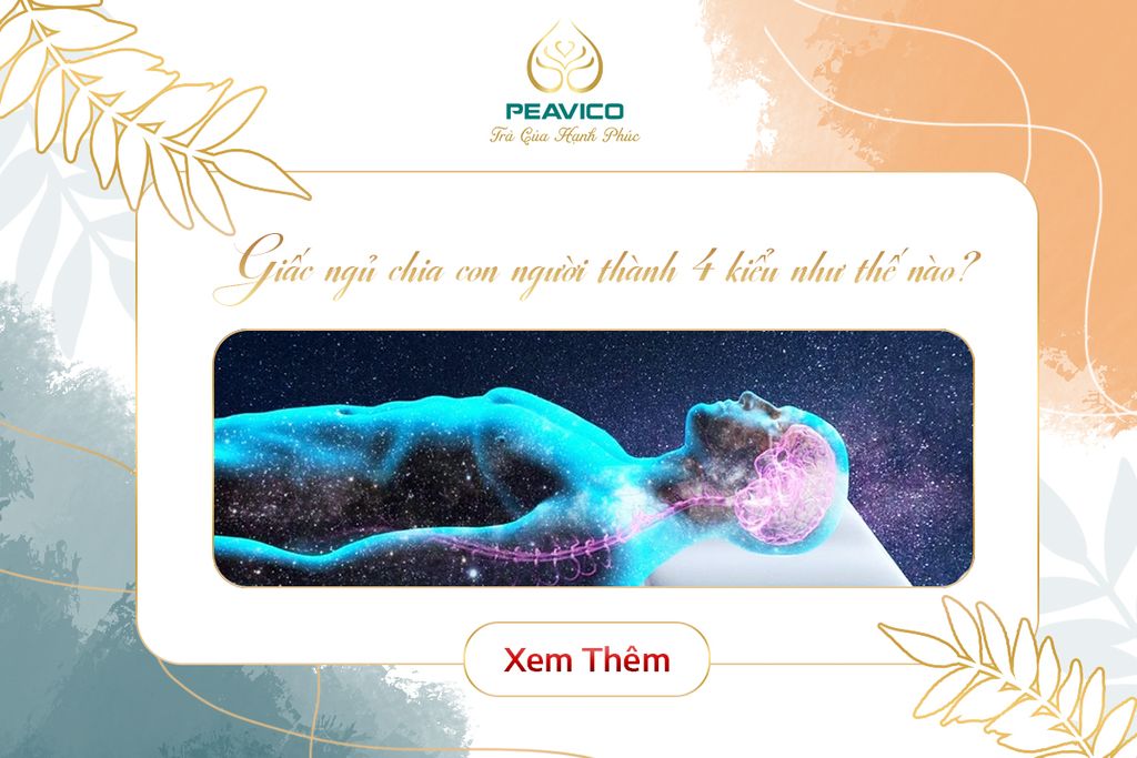 Giấc ngủ chia con người thành 4 kiểu như thế nào?
