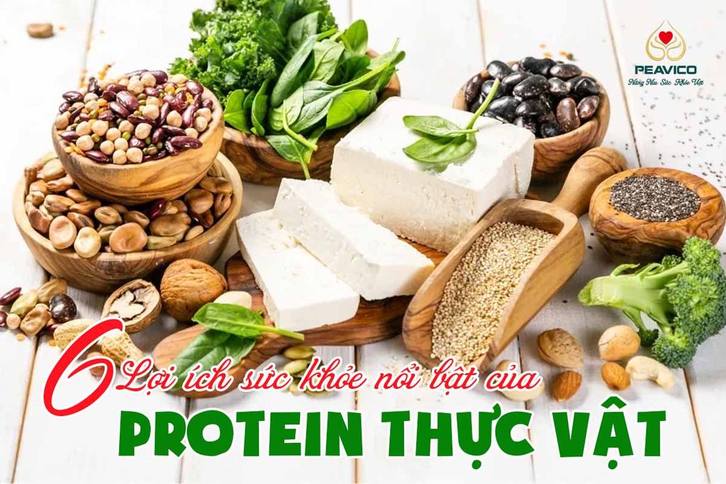 6 Lợi Ích Sức Khỏe Nổi Bật Của Protein Thực Vật