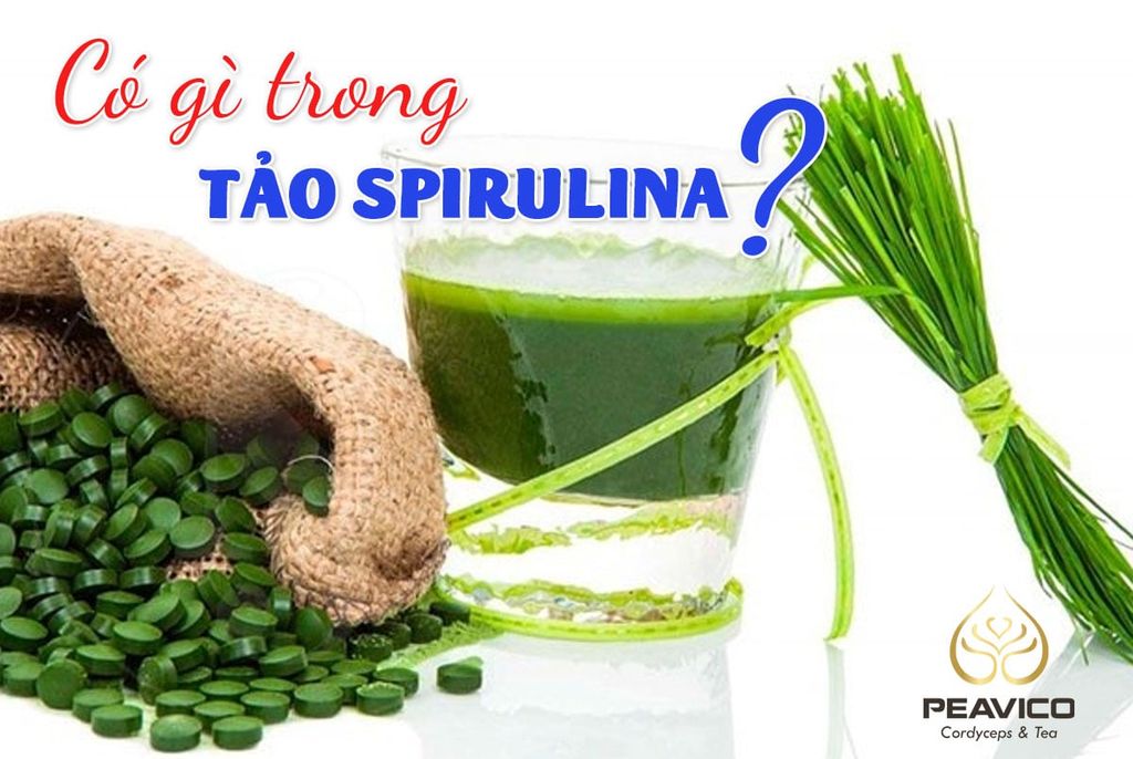 Có gì trong mỗi viên nén TẢO XOẮN SPIRULINA???