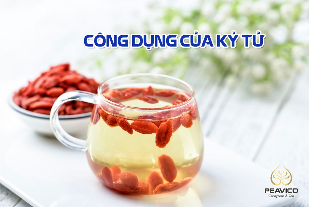Công dụng tuyệt vời của kỷ tử đối với sức khoẻ