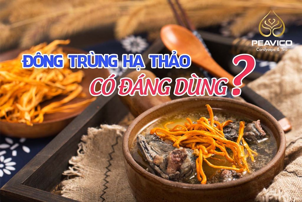 Đông trùng hạ thảo PEAVICO - có đáng để dùng?