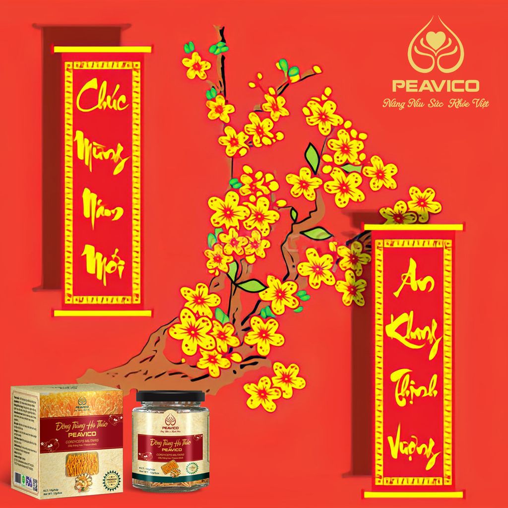 CHÚC MỪNG NĂM MỚI - AN KHANG THỊNH VƯỢNG!️🎉