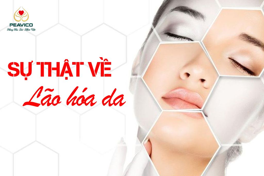 Sự thật về lão hóa da