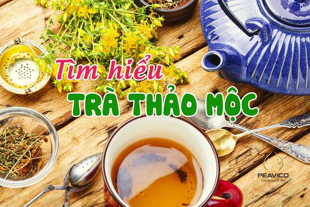 Tất cả điều cần biết về trà thảo mộc