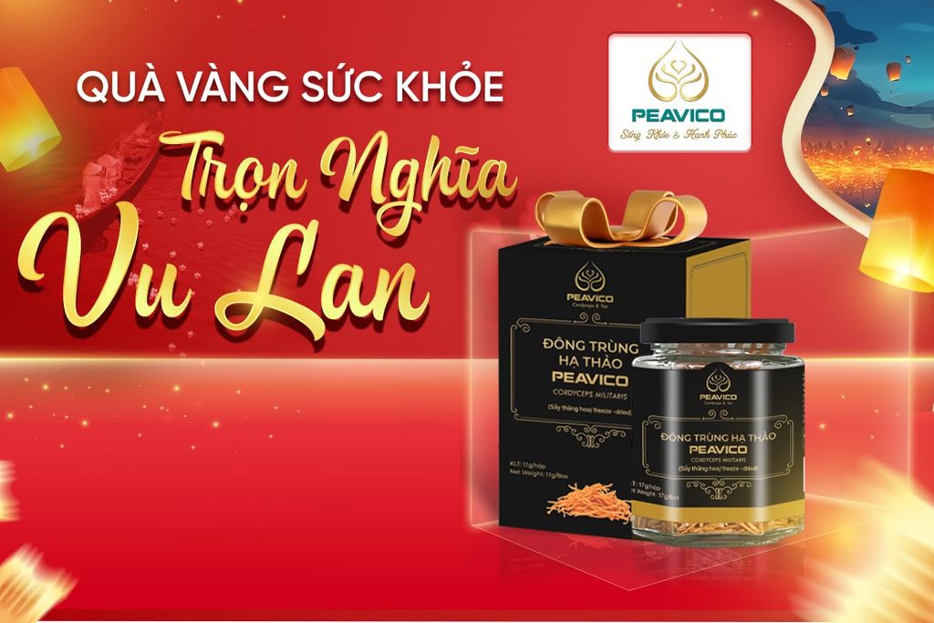 Đông trùng hạ thảo Peavico - Món quà sức khỏe ý nghĩa tặng cha mẹ mùa Vu Lan