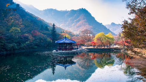 Cẩm nang du lịch Hàn Quốc trong 4 mùa