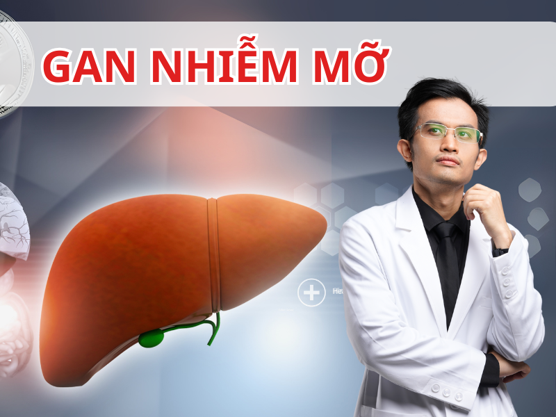 Phương Pháp Đảo Ngược Tình Trạng Gan Nhiễm Mỡ An Toàn, Hiệu Quả