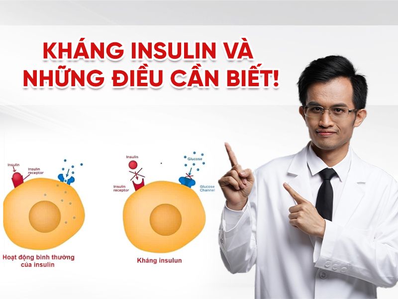 Kháng Insulin Là Gì? Cách Giảm Tỉ Lệ Kháng Insulin Vô Cùng Hiệu Quả