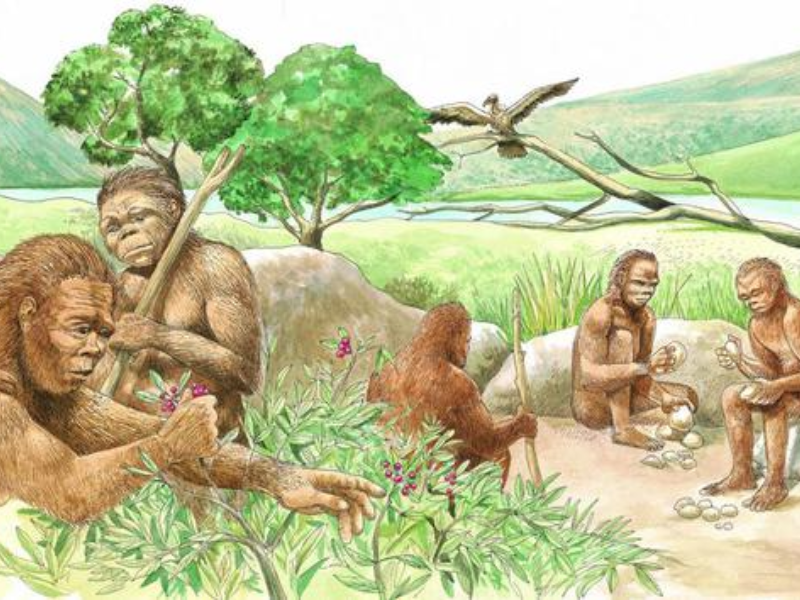 Fasting – Chìa Khóa Chữa Lành Cơ Thể Từ Bên Trong