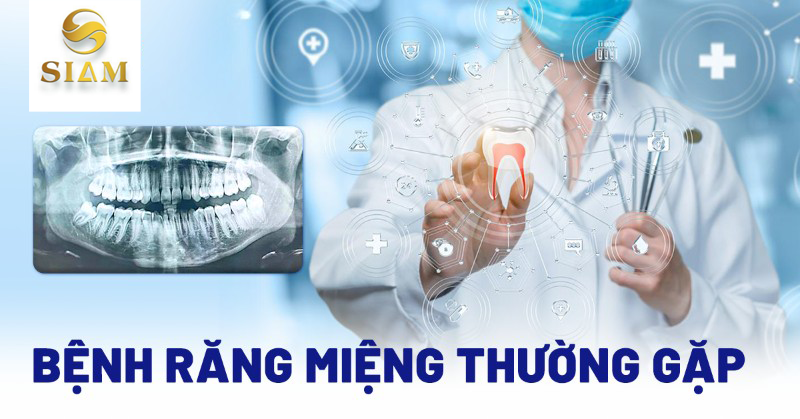 Bệnh Nha Chu: Nguy Cơ Và Cách Phòng Ngừa