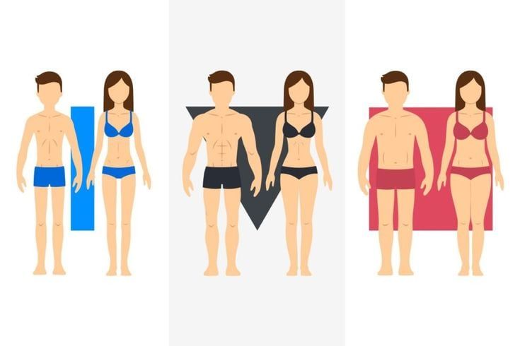 Ectomorph, Mesomorph, Endomorph Là Gì? Cách Tập Luyện Hiệu Quả Cho Từng Tạng Người