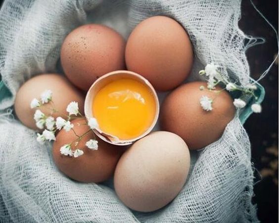 NÊN ĂN LÒNG TRẮNG HAY CẢ QUẢ TRỨNG