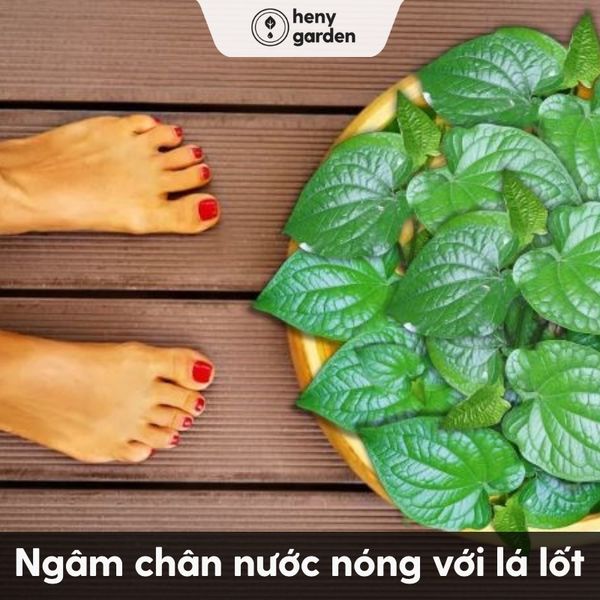 ngâm chân nước ấm với lá lốt