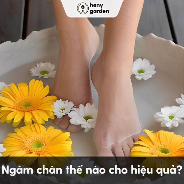 ngâm chân trong nước ấm thế nào cho hiệu quả