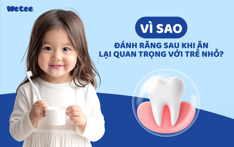 VÌ SAO ĐÁNH RĂNG SAU KHI ĂN QUAN TRỌNG VỚI TRẺ NHỎ?