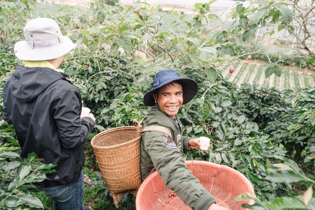 Câu Chuyện Đằng Sau Một Ly Cà Phê Rang Xay Chất Lượng Cao: Hành Trình Từ Nông Trại Đến Tách Cà Phê