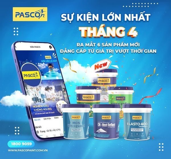 Hình ảnh bài viết