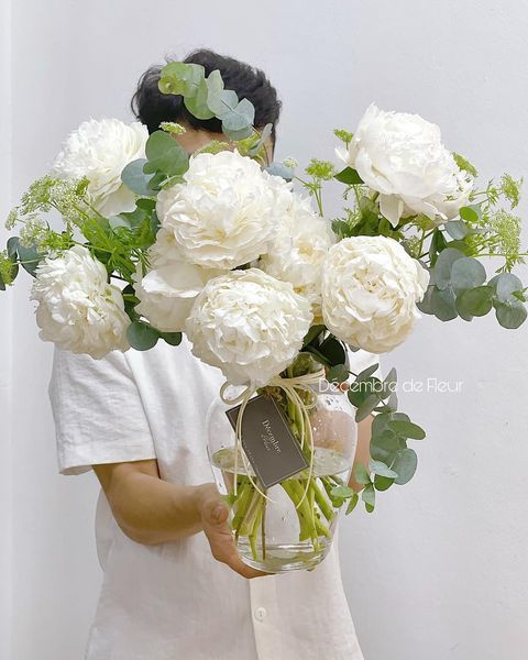 Hình ảnh bài viết