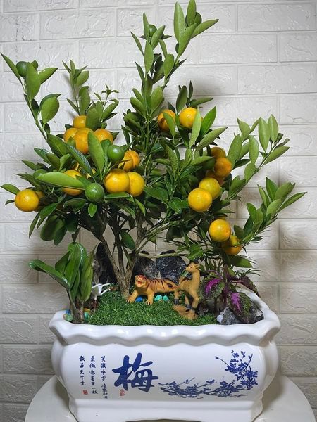 Hình ảnh bài viết