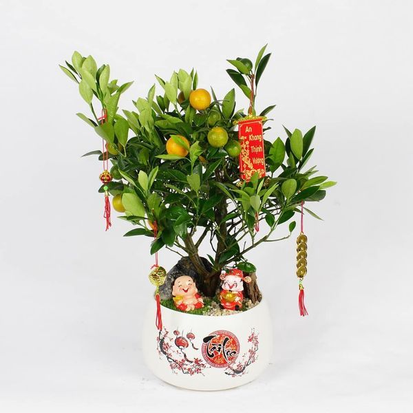 Hình ảnh bài viết