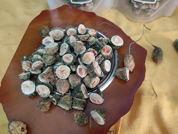 Hình ảnh bài viết