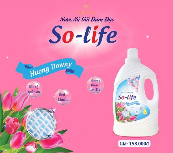 Hình ảnh bài viết