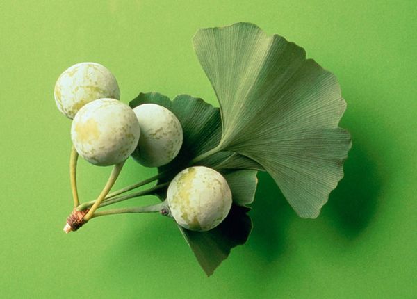 Hình ảnh bài viết