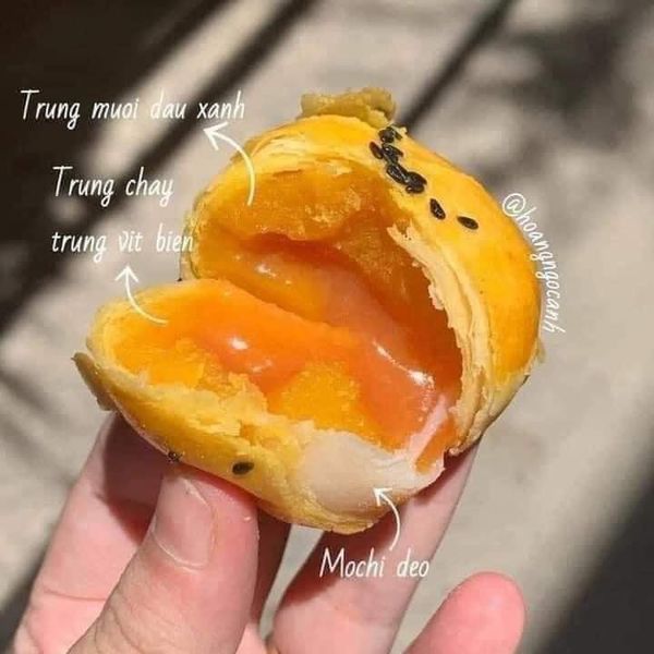 Hình ảnh bài viết