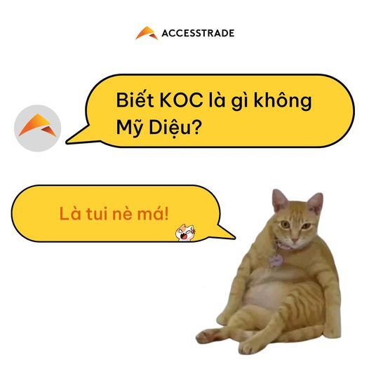 Hình ảnh bài viết