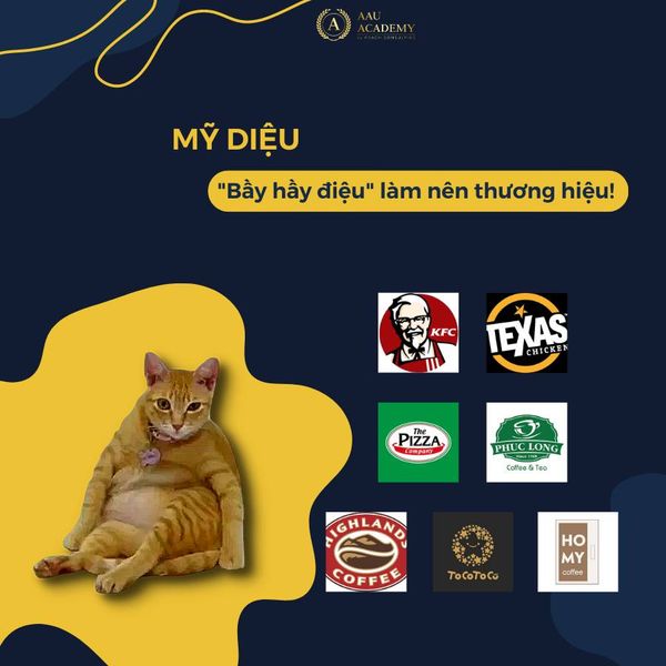Hình ảnh bài viết