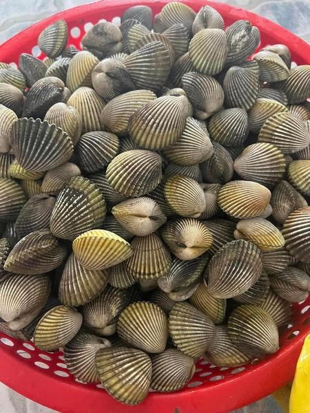 Hình ảnh bài viết