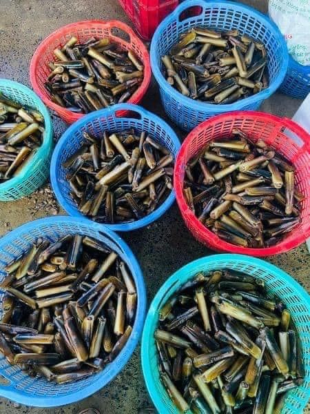 Hình ảnh bài viết