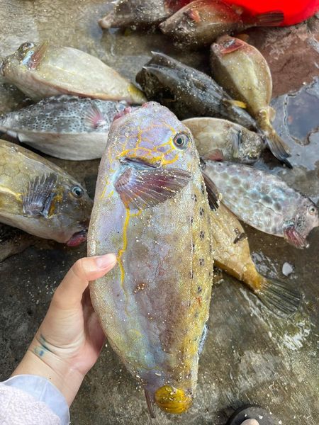 Hình ảnh bài viết