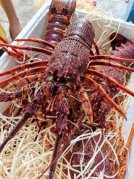 Hình ảnh bài viết