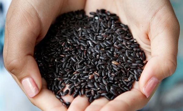 Những Lợi ích của gạo lứt đối với sức khoẻ