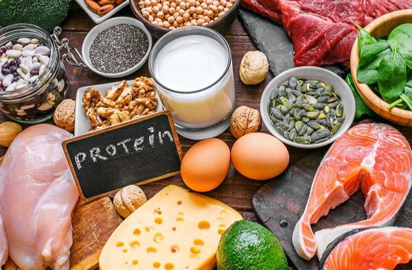 Protein - Nhóm chất đạm