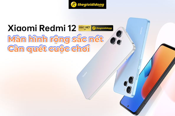 Hình ảnh bài viết