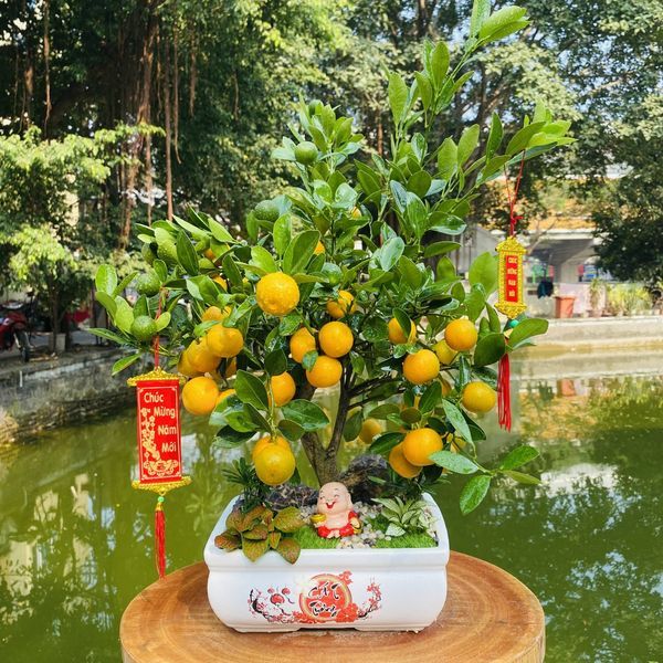 Hình ảnh bài viết