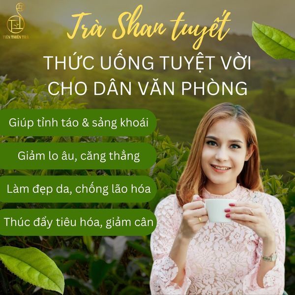 Hình ảnh bài viết