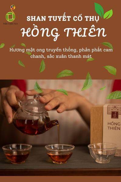 Hình ảnh bài viết