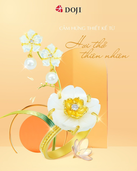 Hình ảnh bài viết