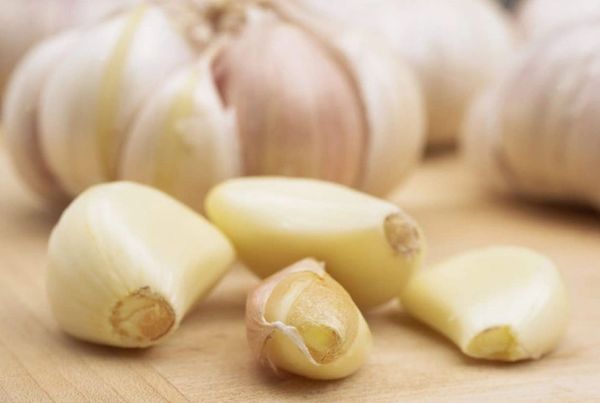 Tỏi có tác dụng kháng khuẩn, kháng vi rút và kháng nấm