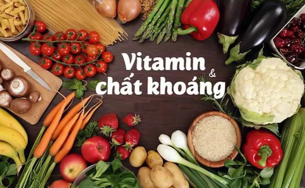 Vitamin và khoáng chất