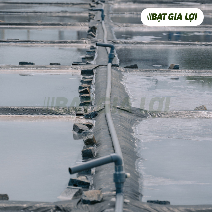 CÁC BIỆN PHÁP KIỂM SOÁT ĐỘ PH TRONG AO NUÔI TÔM