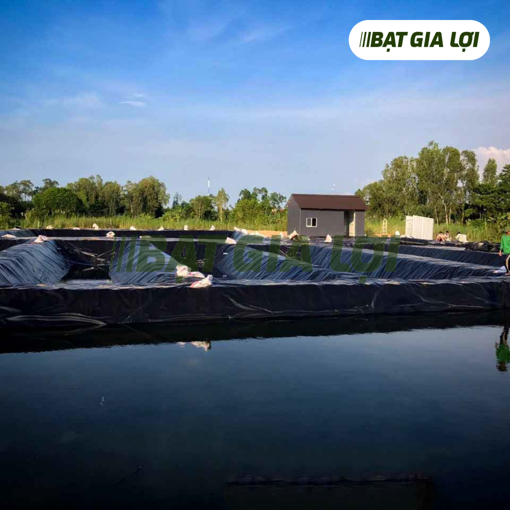 BẠT LÓT HỒ NUÔI TÔM CHẤT LƯỢNG - GIẢI PHÁP HIỆU QUẢ CHO NGƯỜI NUÔI TÔM