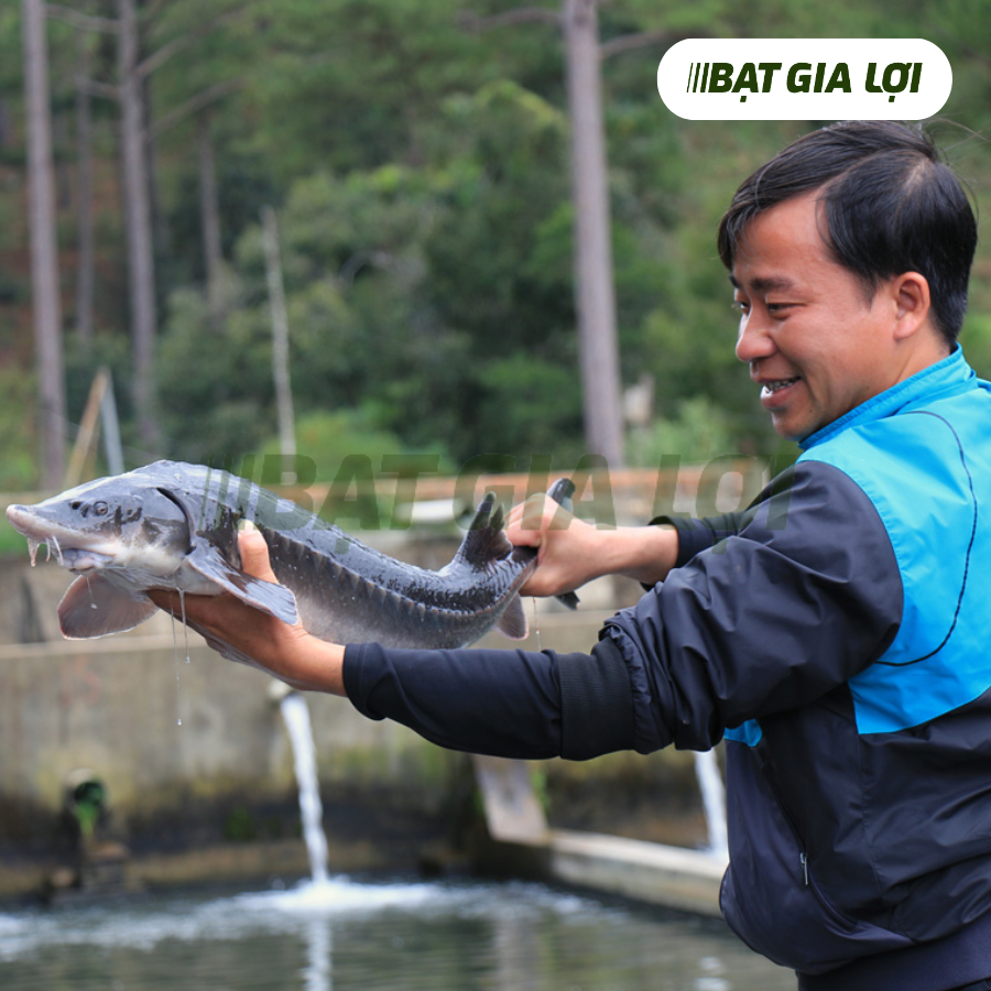 CÁCH PHÒNG BỆNH CHO CÁ NUÔI VÀ ỨNG DỤNG BẠT LÓT HỒ TRONG NUÔI TRỒNG THỦY SẢN